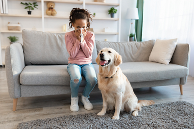 Pet Allergy- 1152 x 768 - 1