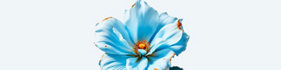 Prostate cancer 01