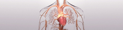 Pulmonary Hypertension B