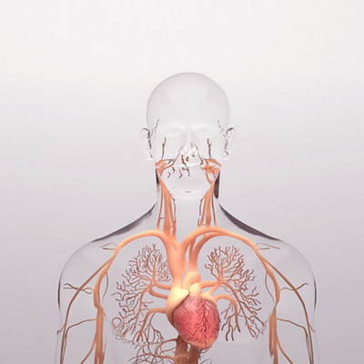 Pulmonary Hypertension Clinic