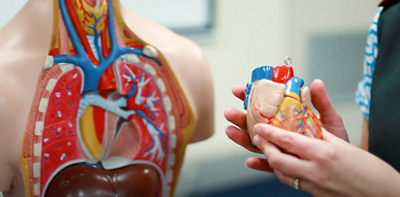 Screenshot 2022-07-26 at 21.59.05