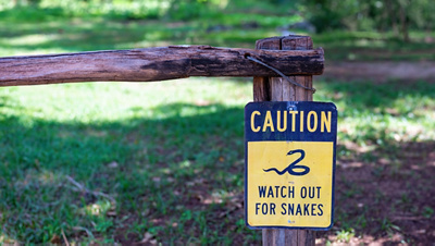 Beware of snakes