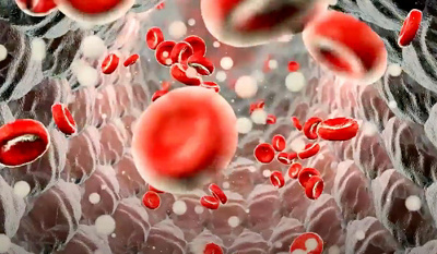 Vitamine und Spurenelemente