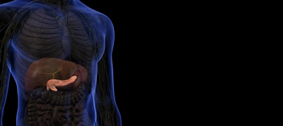 SpyGlass system offers an ERCP upgrade