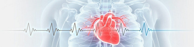 Rib cage with heart and electrocardiogram 