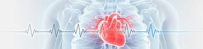 Cage thoracique avec un coeur et électrocardiogramme 