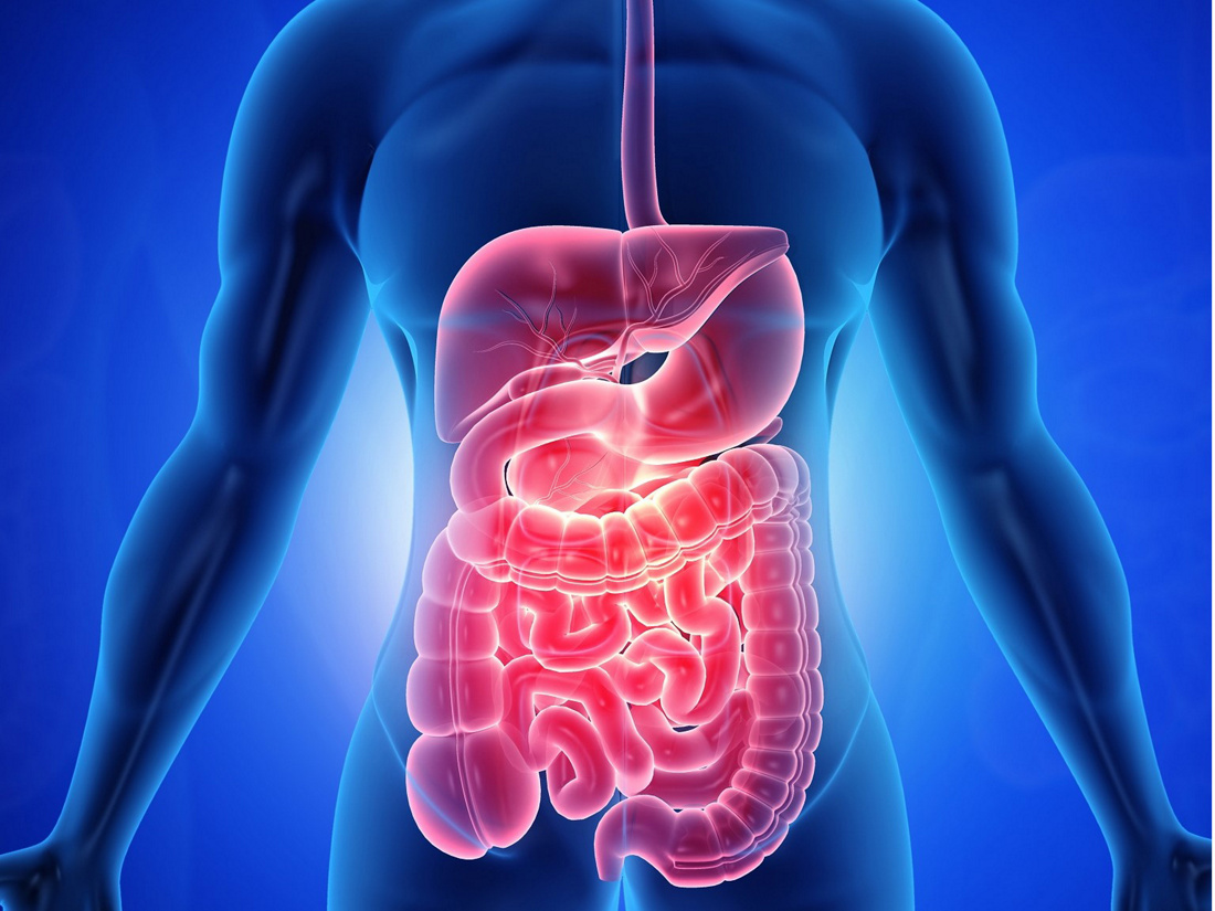 Maladie de Crohn - symptômes et traitement | Hirslanden