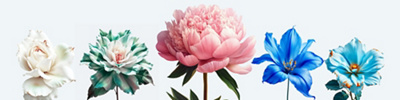 Website Banner all flowers opt2