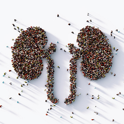 World-Kidney-Day