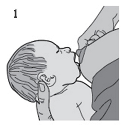 breastfeeding illustrations