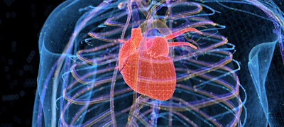 Mediclinic Midstream is at the forefront of new cardiac ablation technology