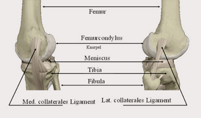 das-schmerzhafte-knie-was-tun-1