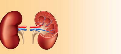 How dialysis does the kidneys’ job [infographic]
