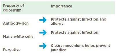 different types of milk