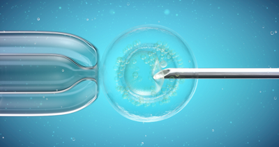 Egg embryo freezing