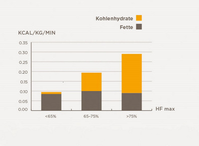 fettverbrennung-grafik-1