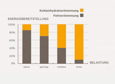 fettverbrennung-grafik-2