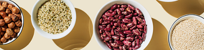 The vital role of fibre in gut health