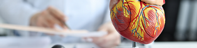 Surgeon at Mediclinic Heart repairs aneurysm using FEVAR procedure