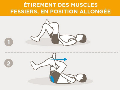 fr-gesssmuskeln-liegend