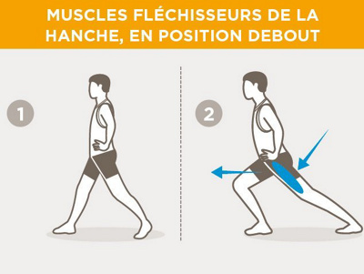 fr-hftbeuger-muskulatur-stehend