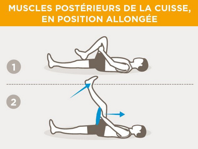 fr-hintere-oberarschenkelmuskulatur-liegend