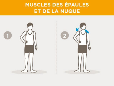 fr-schulter-nacken-muskulatur