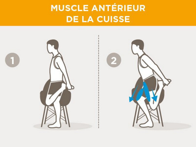 fr-vorderer-oberschenkelmuskel