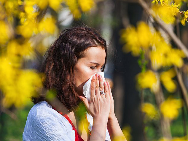 Hatschi! Der Heuschnupfen ist da. Was hilft bei der lstigen Allergie?