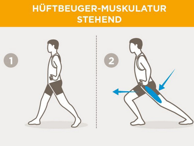 hftbeuger-muskulatur-stehend
