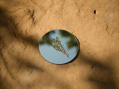 JIVITA Erstgespräch