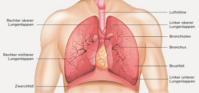 hirsladen-die-interdisziplinaere-behandlung-des-lungenkrebses-1