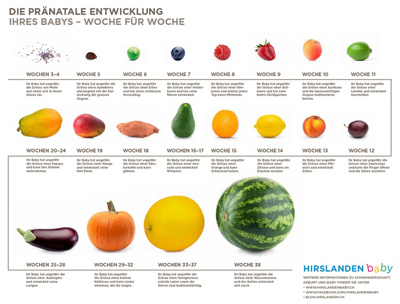 Ihr Baby hat die Grösse dieser Frucht...