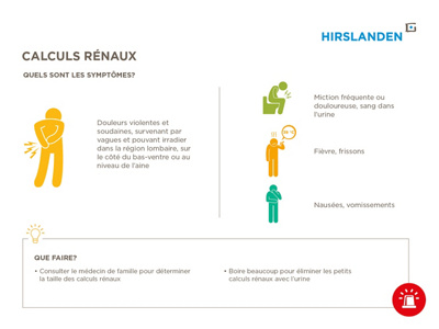Calculs renaux infographique