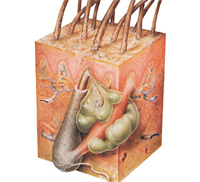 hirslanden-chronische-wunden-und-chirurgie-1
