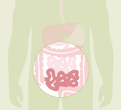 hirslanden-faszination-darm-hotspot-Krummdarm