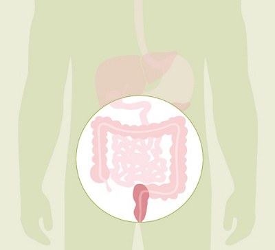 HL_20200608_Anatomie Verdauung_Feedback_03_Einzelbilder