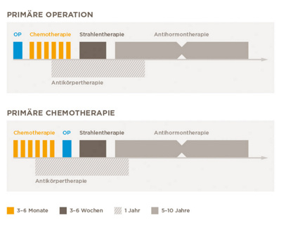 hirslanden-grafik-brustkrebsbehandlung