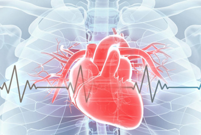 Illustration Herz mit Herzschlag.