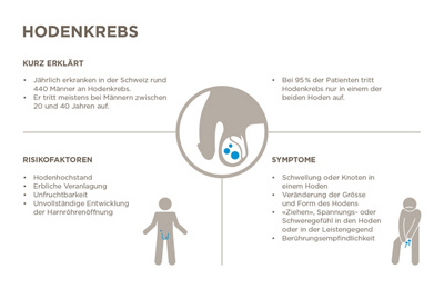 Infografik Hodenkrebs