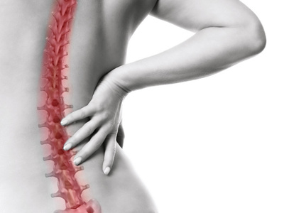 Illustration der Wirbelsäule