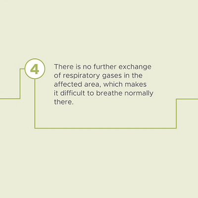 Infographic cours of a lung inflamation 11