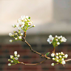 hirslanden-lungenkrebs-3