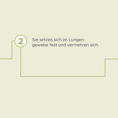 hirslanden-lungennotfall-lungenentzündung-infografik-07