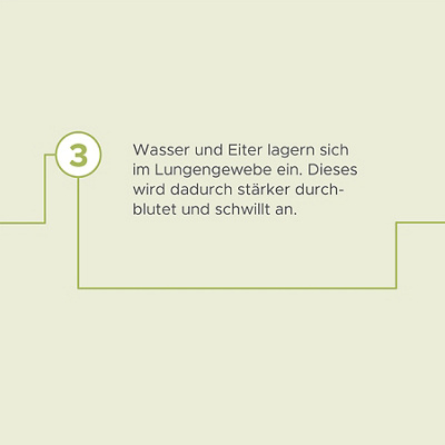 hirslanden-lungennotfall-lungenentzündung-infografik-09