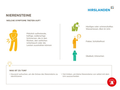 Nierensteine Infografik