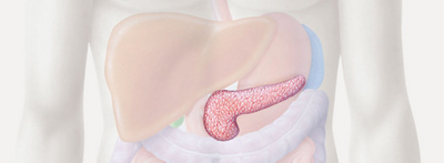 hirslanden-pankreas-das-versteckte-organ-1