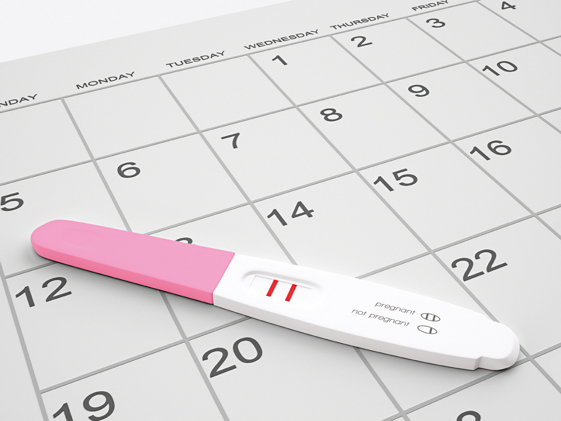 Pregnancy calculator: A week-by-week pregnancy calendar