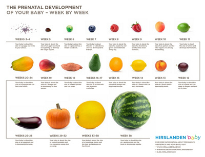 Your baby is the size of this fruit…