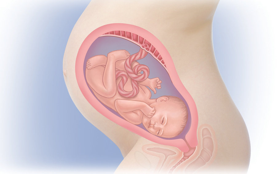 Le Troisieme Trimestre Hirslanden Baby